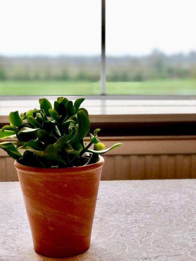 Bed and Breakfast Lissanisky House Ballymackey Esterno foto